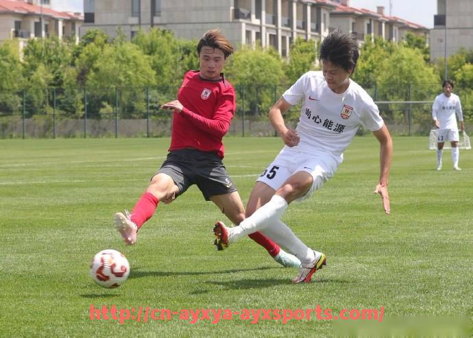 爱游戏体育-英超球衣上的爱心标志意义及公益活动介绍