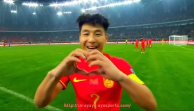 爱游戏体育-英超纽卡素球队现役球员名单及核心阵容解析